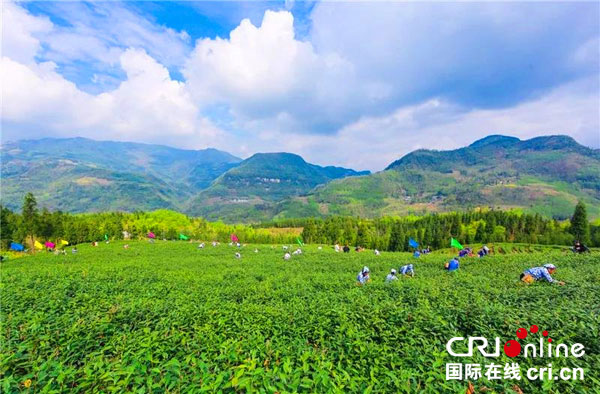 图片默认标题_fororder_1