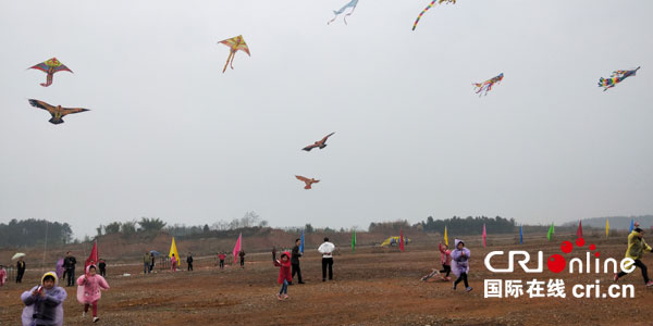 图片默认标题_fororder_2