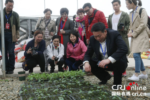 图片默认标题_fororder_2