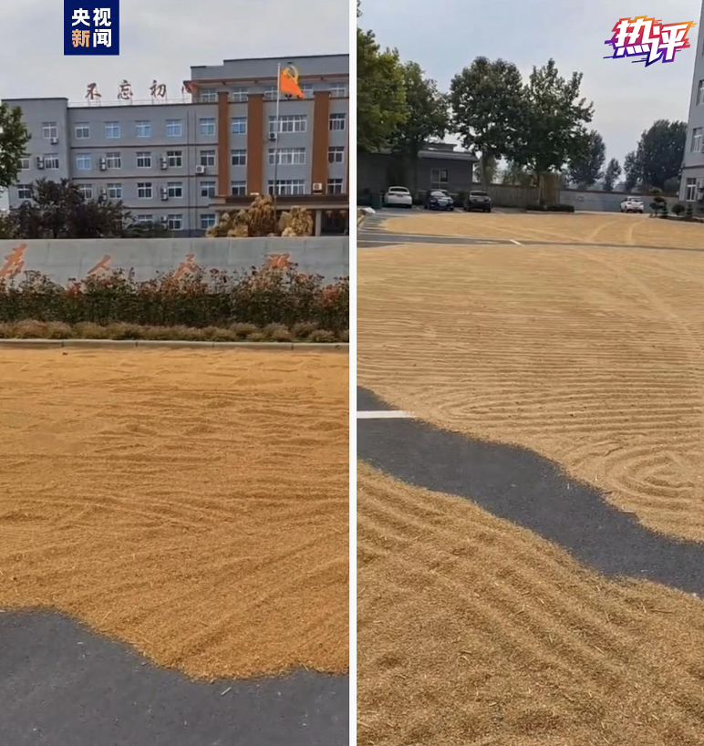 热评丨进度超八成!颗粒归仓,稳住粮食安全“压舱石”