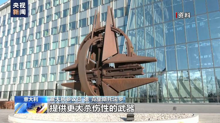 意大利参议员:美向乌提供集束弹药是不计后果的行为