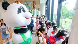 四川文旅吉祥物“安逸”熊猫迎来“成人礼”