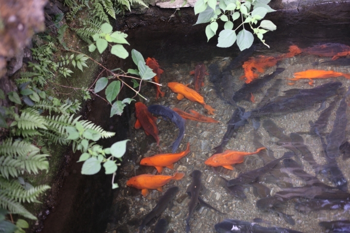 见证“八八战略”指引之路︱同饮一江水:一场对赌持续11年,为何都是赢家?_fororder_1689122423288_64adf67732e8f50001535f18