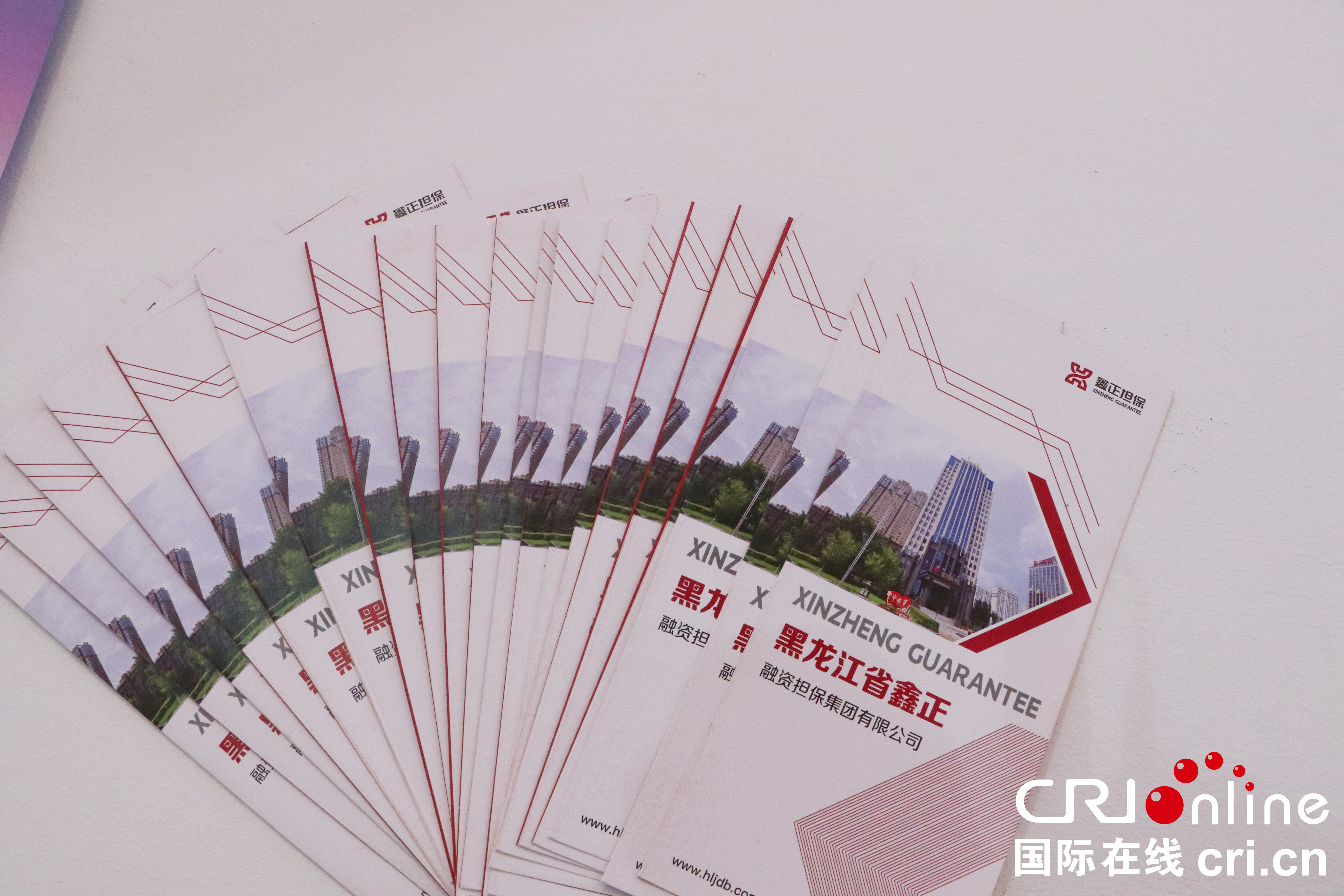 聚焦“哈洽”丨聚智汇力 创新协同 鑫正担保集团护航龙江实体经济_fororder_a68b489f321cb4a57ca4729583d7bf4