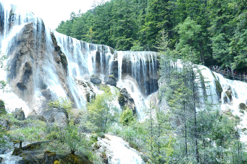 九寨沟县:厚植生态底色 争当绿色发展新典范_fororder_图片1