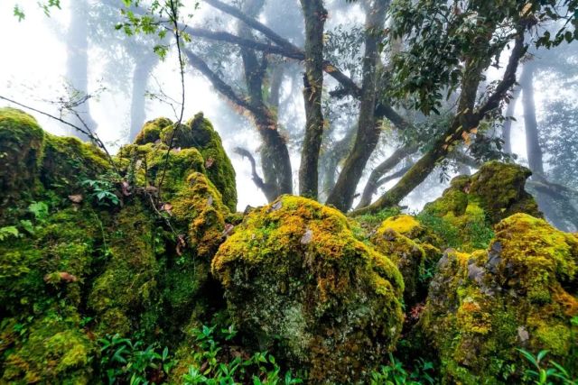 （导航攀枝花）图集|攀枝花格萨拉获得国家地质公园资格