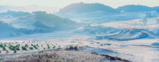 （导航攀枝花）图集|攀枝花格萨拉获得国家地质公园资格