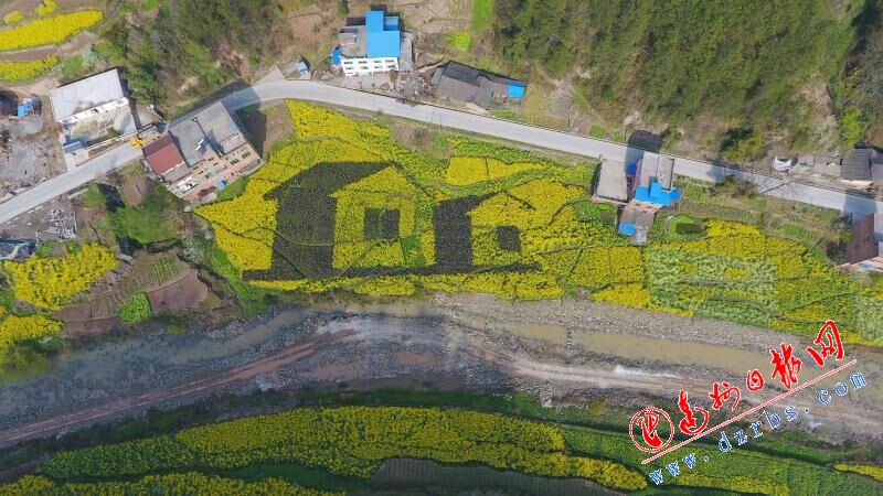 （导航达州，移动端）大地作画布 达州市宣汉巴山大峡谷油菜花田绽放别样景观