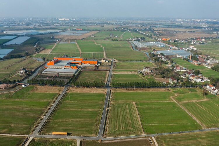 “千万工程”调研行|这里的农民生活为何如此惬意?——浙江嘉兴乡村走访见闻