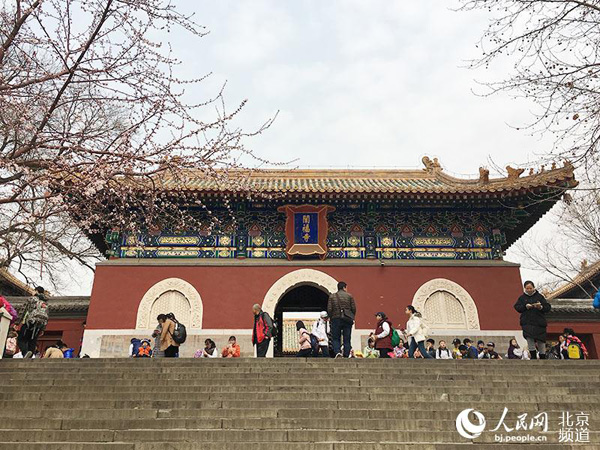 北海公園に春を告げる