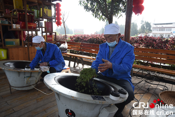 图片默认标题_fororder_手工炒茶（摄影--徐琴）