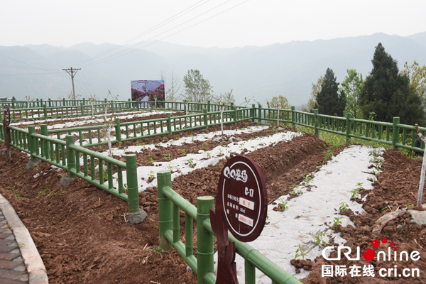 图片默认标题_fororder_已认养的QQ农场（摄影--徐琴）