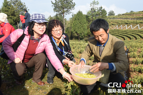 图片默认标题_fororder_华文媒体记者体验采摘（摄影--徐琴）