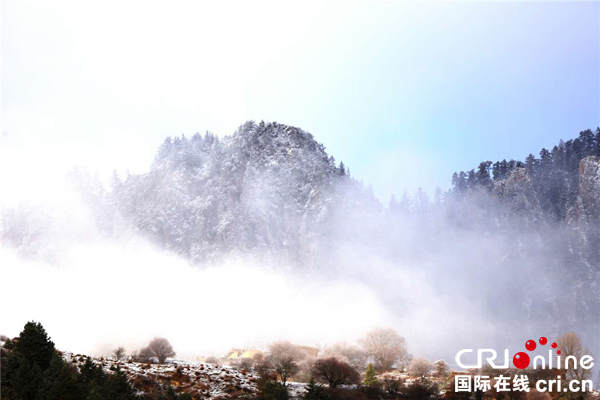 图片默认标题_fororder_博美山省级森林公园美如仙境2-摄影-徐平波