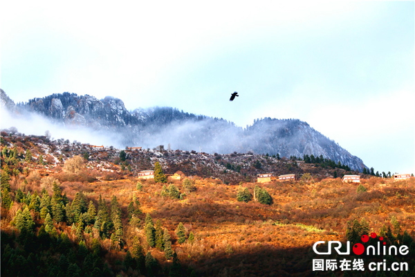 图片默认标题_fororder_博美山省级森林公园美如仙境-摄影-徐平波