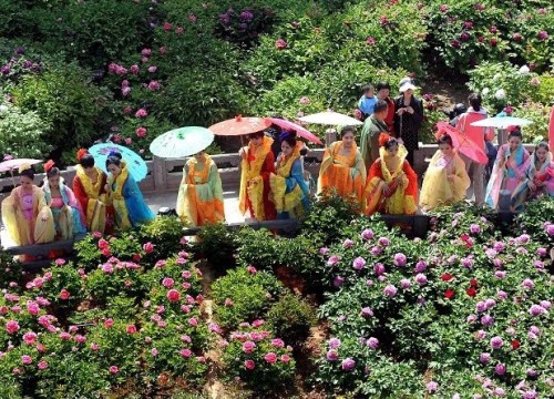 Luoyang, lunsod ng peony