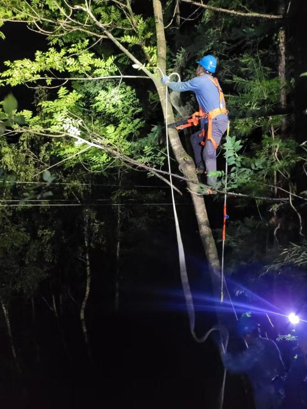 国网陕西电力:迎峰度夏保供电 优质服务护清凉_fororder_图片3