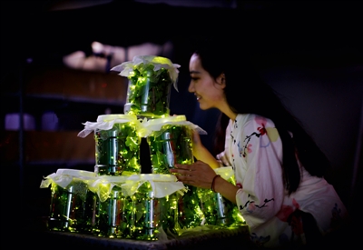 （焦点图，导航成都，移动端）四川教授研究近十年 首次人工繁育出萤火虫