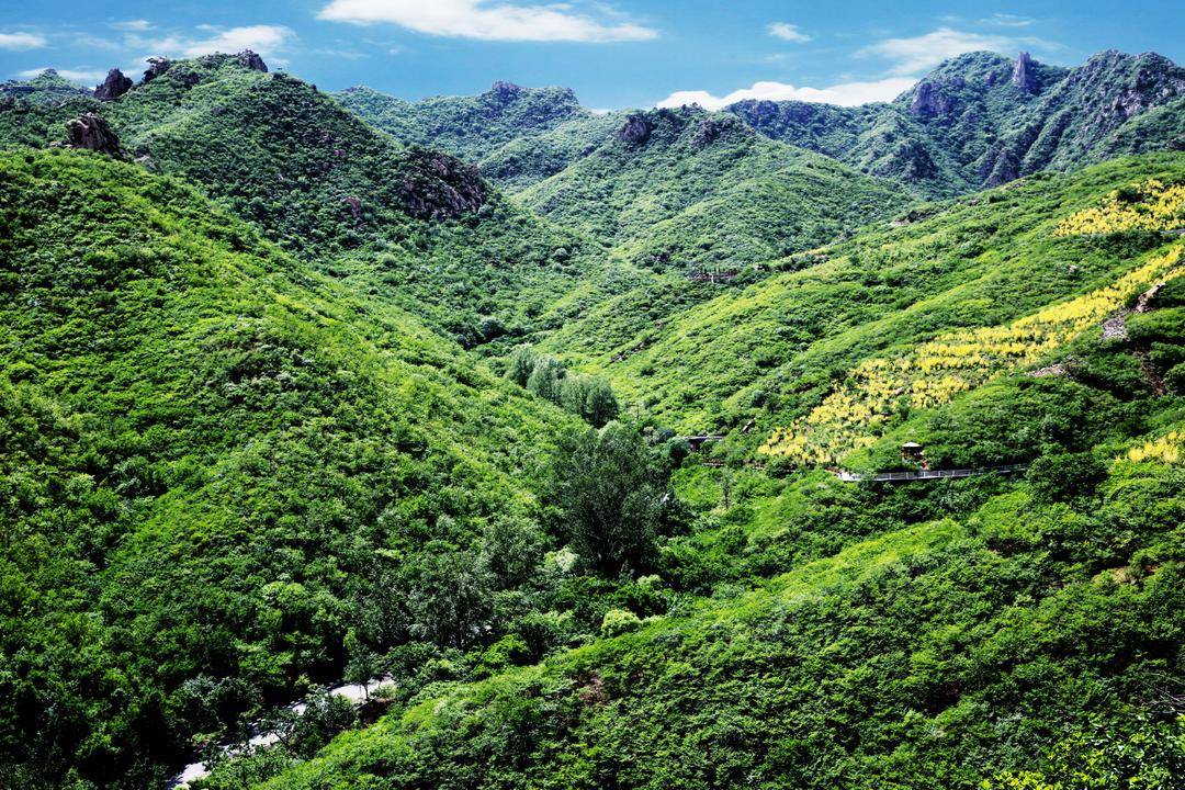 朝阳:夏日避暑,森林旅游成首选