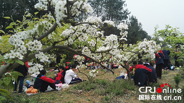 绵阳市安州区举办各类节会活动带动乡村旅游