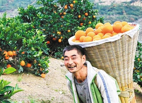 「中国经济网」【大美中国】金秋时节庆丰收