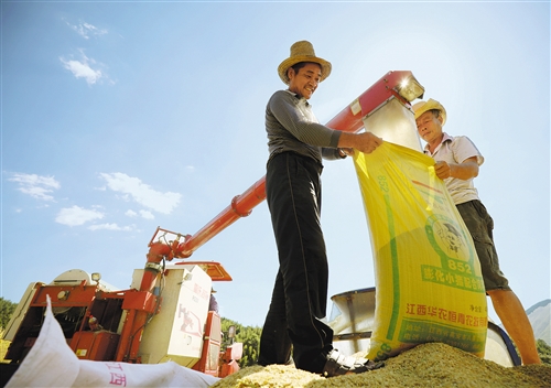「中国经济网」【大美中国】金秋时节庆丰收
