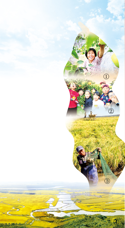 「人民日报」金色的秋天 丰收的季节（美丽中国）