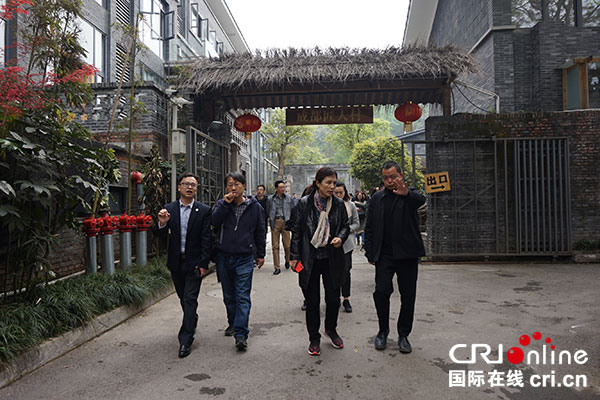 专家调研大邑青霞镇"幸福公社(大邑县委宣传部 供图)