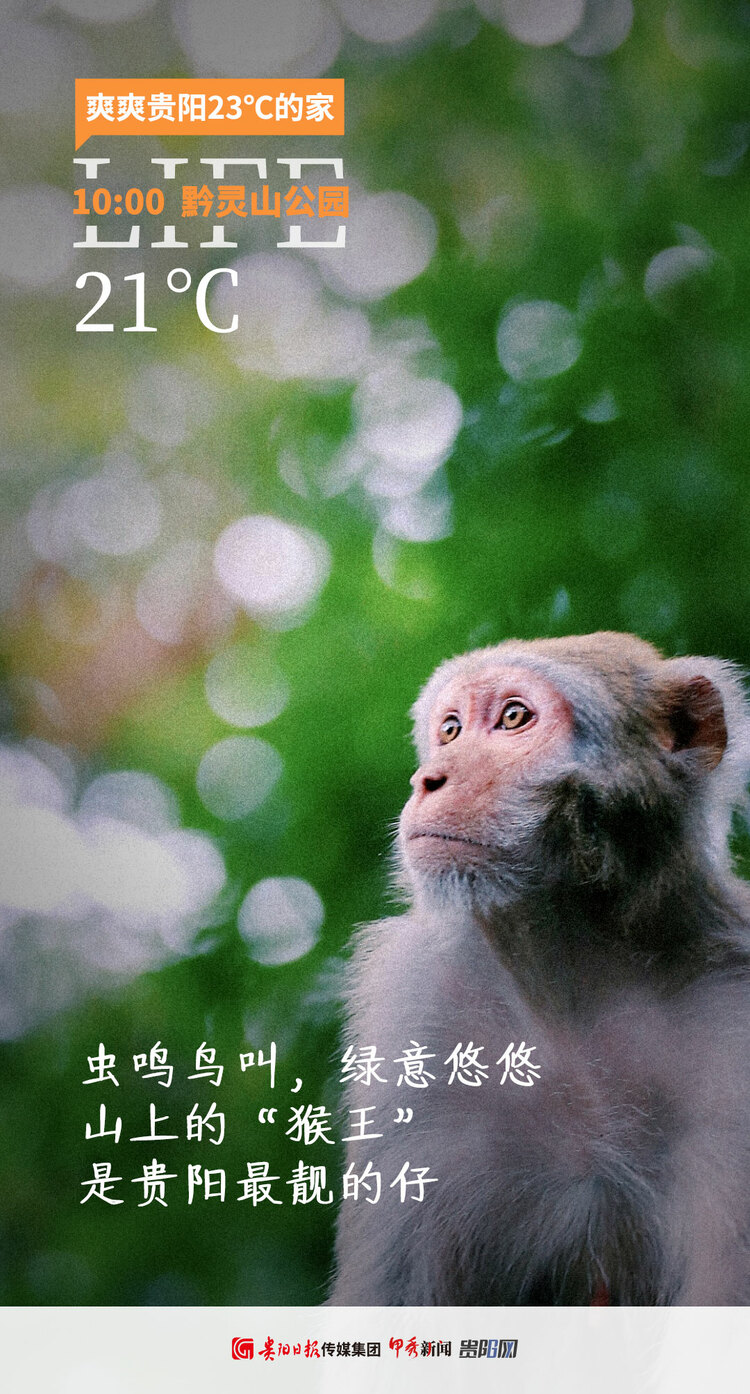 海报组图 |避暑到贵阳,可以这样“爽”一天!