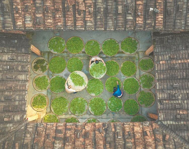 莆田仙游:从好“茶叶”到好“茶业”_fororder_6e993916-5343-44f9-8f6e-5a4ca683859c