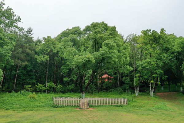 【大国新村:沿着总书记的足迹】福建长汀:从水浊山荒到水绿山青