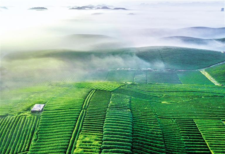 大自然为贵州“调色”,哪一抹最让你心动