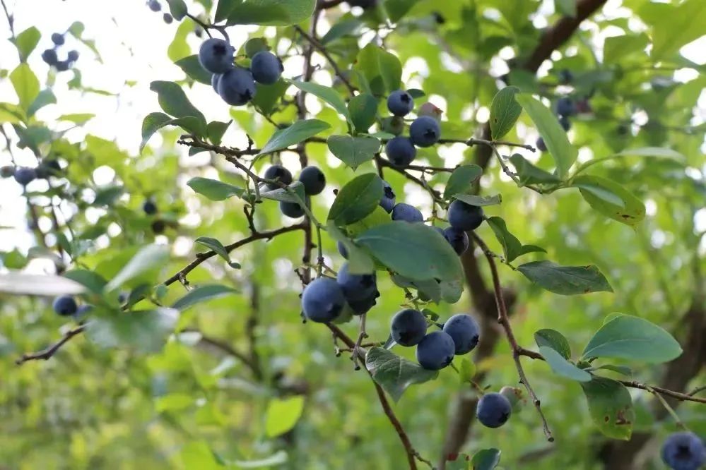 大自然为贵州“调色”,哪一抹最让你心动