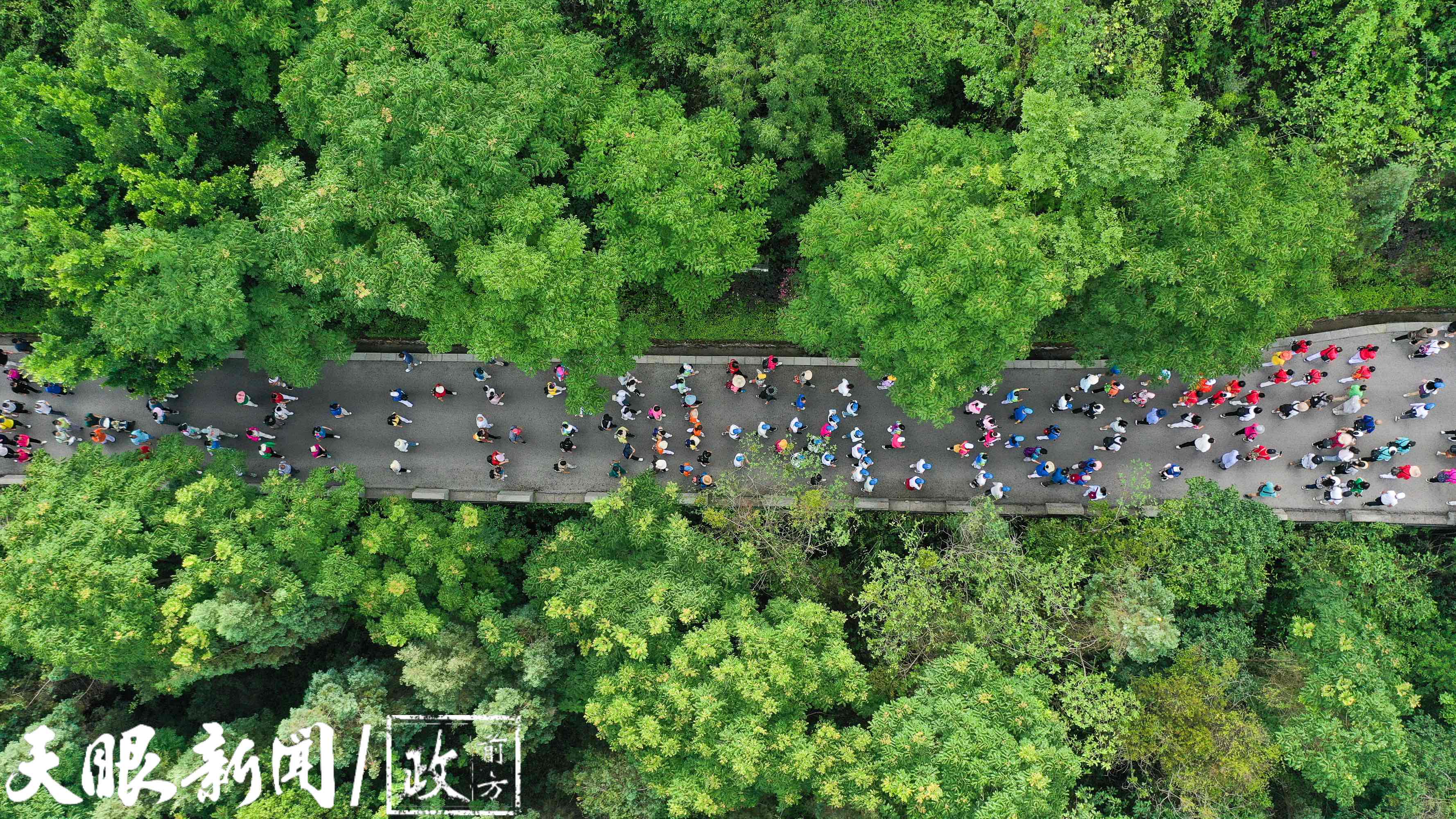 大自然为贵州“调色”,哪一抹最让你心动