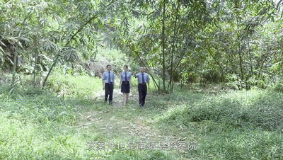 「国际在线」【公益诉讼·美丽中国】巨坑遍布，山体随时可能