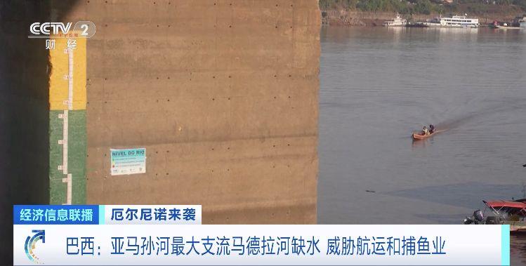 巴西亚马孙河最大支流水位大幅下降 航运和捕鱼业受威胁