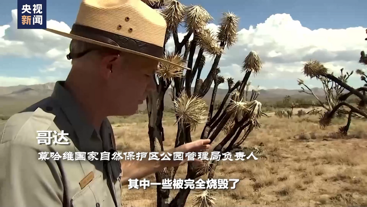 世界周刊丨红色警报