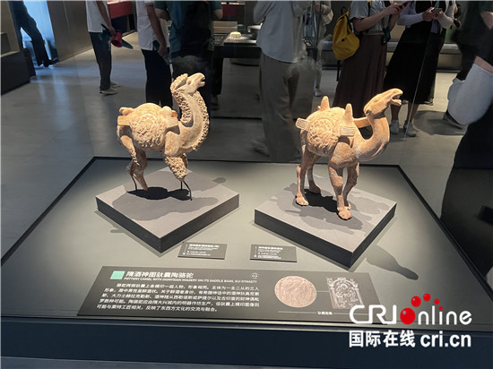 在陕西考古博物馆里 来自越南的她这样解读“何以中国”……_fororder_111