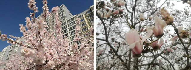 3月27日 火曜日 3月27日 火曜日