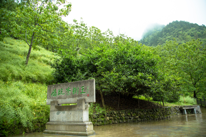 见证“八八战略”指引之路︱同饮一江水:一场对赌持续11年,为何都是赢家?_fororder_1689122423561_64adf67732e8f50001535f1a