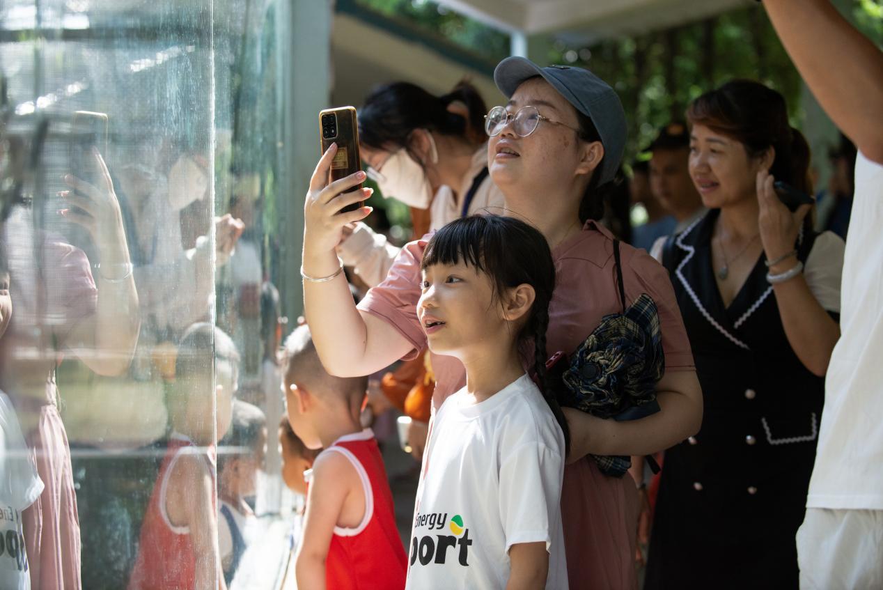 高清组图 | 南宁:动物消暑享“清凉”_fororder_图片30