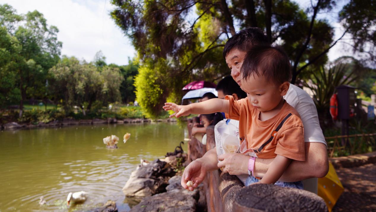 高清组图 | 南宁:动物消暑享“清凉”_fororder_图片38
