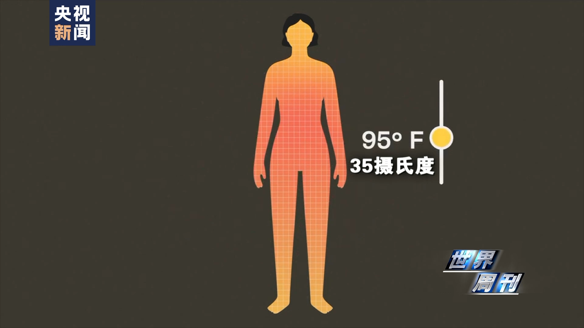 世界周刊丨全球多地再迎高温“炙烤” 气候危机亟待解决
