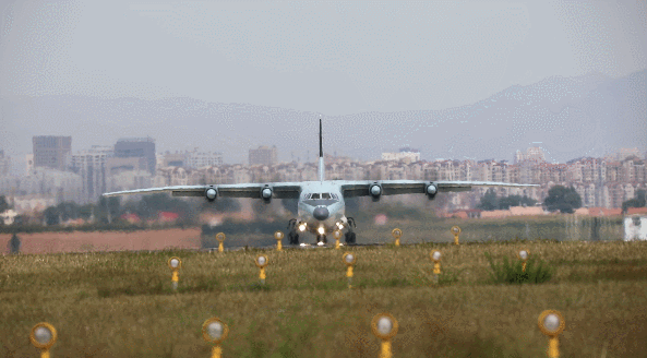 「中国军网」嗨！我是“世界级胖妞”，快来欣赏一下我霸气的美！