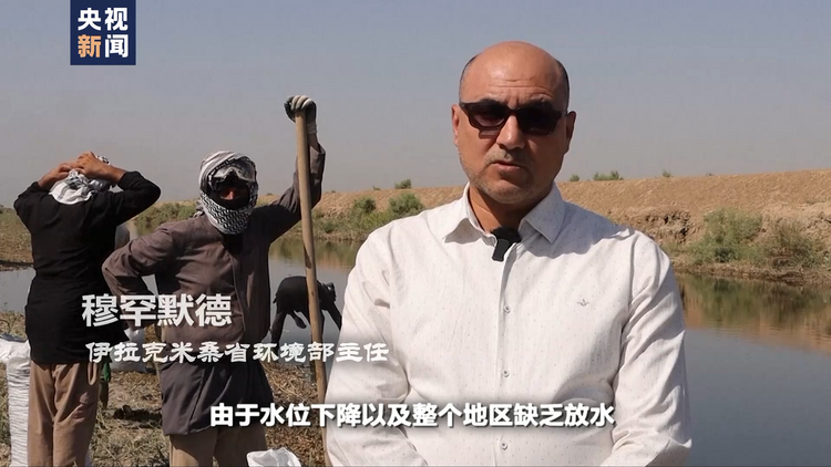 世界周刊丨全球多地再迎高温“炙烤” 气候危机亟待解决