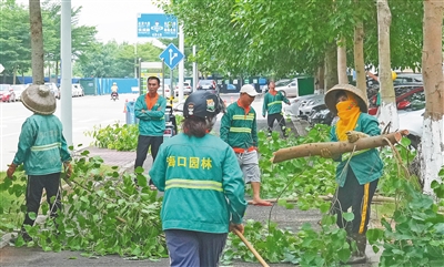 海南省全力以赴迎战台风“泰利”_fororder_2