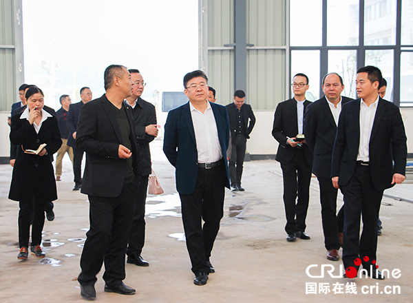 图片默认标题_fororder_1沿滩区书记邹天才等领导到招商企业调研