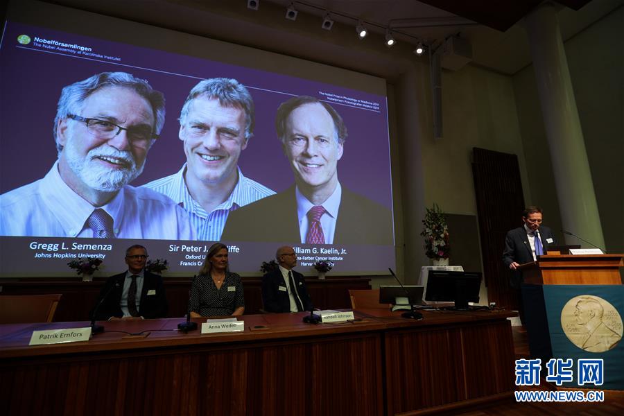 「新华网」三名科学家分享2019年诺贝尔生理学或医学奖
