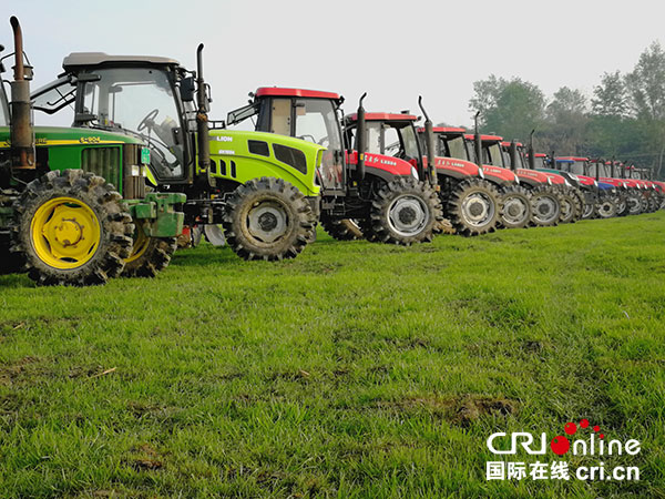 图片默认标题_fororder_2