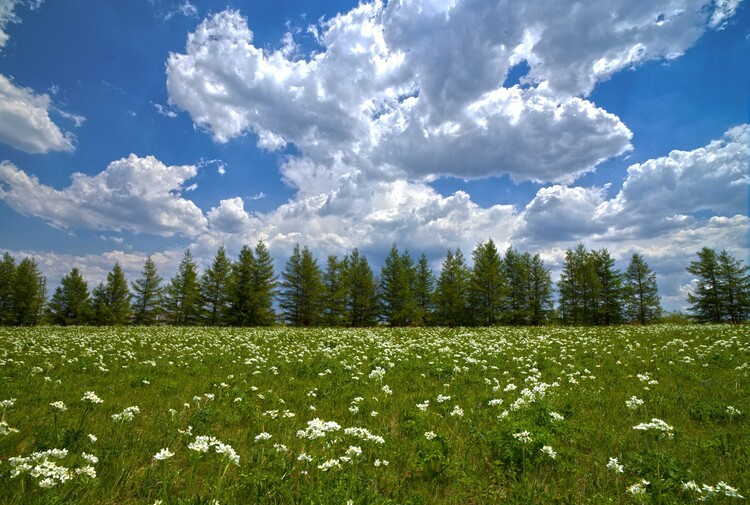 图片默认标题_fororder_2